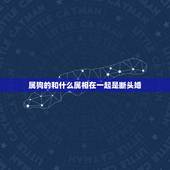 属狗的和什么属相在一起是断头婚，属蛇的和属狗的是断头婚吗