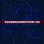 事业线婚姻线生命线都在手掌的哪个位置，手上的事业线、生命线、爱情线分别