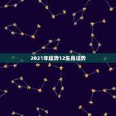2021年运势12生肖运势，2021生肖运势大解析 十二生肖