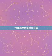 75年出生的兔是什么兔，1963年的属兔的是什么命