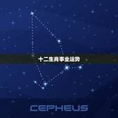 十二生肖事业运势，十二生肖2021年运势及运程每月运程