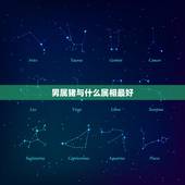 男属猪与什么属相最好，属猪的男生配什么属相最好？