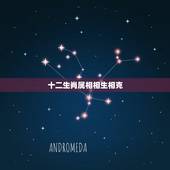 十二生肖属相相生相克，十二生肖相生又相克，属鼠的和什么属相最配？