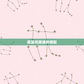 属鼠和属猪的婚配，属猪好还是2022 属鼠好