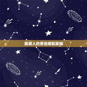 属猪人的更佳婚配属相，1995年属猪2022 年运势