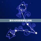 属牛36岁本命年跟什么属相，1985年属牛36岁本命年运势 2021年