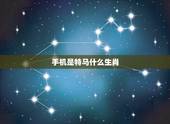 手机是特马什么生肖，苹果是特马是哪个生肖