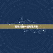 蛇和鸡在一起对谁不利，男鸡女蛇的在一起旺吗