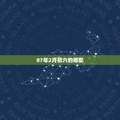 87年2月初六的婚配，87年二月初六子时今年运程