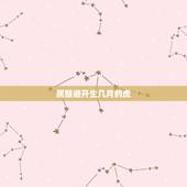 属猴避开生几月的虎，虎猴夫妻真的会克死吗