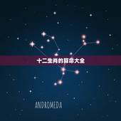 十二生肖的算命大全，生肖命理及五行属性