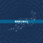 属虎的人缺什么，属虎的人五行缺什么