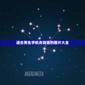 适合男生手机壳背面的图片大全，求类似于这个手机壳背面图片的壁纸