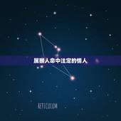 属猴人命中注定的情人，属鸡人命中注定的情人