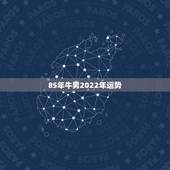85年牛男2022年运势，73年腊月初三晚上8点生肖牛男将来运势？