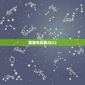 属猪年龄表2022，71年猪2022 年运势