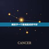 俩孩子一个属相属虎好不好，属虎男生和属兔女生婚姻配吗