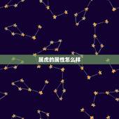 属虎的属性怎么样，1688阿里巴巴批发