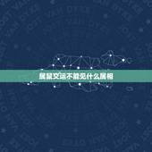 属鼠交运不能见什么属相，算命交运跟属鼠相冲的属相要是在电视上看到有事吗