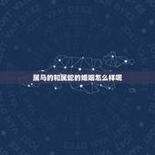 属马的和属蛇的婚姻怎么样呢，属蛇和属马的姻缘怎样