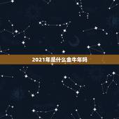 2021年是什么金牛年吗，金牛座2021年运势