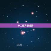 十二生肖日运势，2017年生肖运势大全