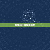 属猪和什么属相最配，属猪的婚姻在哪个方向