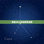 属鼠2022年运势及运程，鼠人2021年每月运程月运程