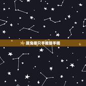 属兔哪只手戴银手镯，银手镯戴左手还是右手