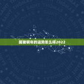 属猪明年的运势怎么样2022，91年属羊人注定的婚姻