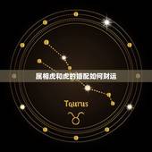 属相虎和虎的婚配如何财运，属虎与属虎一生财运如何