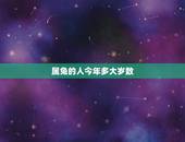 属兔的人今年多大岁数，1963属兔人59岁的灾难年龄