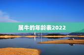 属牛的年龄表2022，85年属牛36岁有一灾