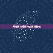男方属猪婚配什么属相最佳，属猪男和什么属相女配婚最好