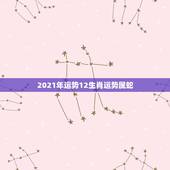 2021年运势12生肖运势属蛇，蛇人2021年运势运程