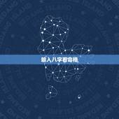 输入八字看命格，八字命格