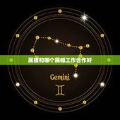 属猪和哪个属相工作合作好，属猪的和什么属相做生意比较合