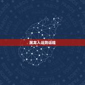 属龙人运势运程，2001年属蛇运势