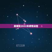 属猪女2022年感情运势，2021年95年属猪女运势