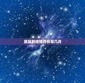 属鼠的结婚月份是几月，属鼠的几月结婚好