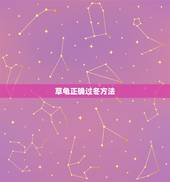 草龟正确过冬方法，中华草龟怎样过冬