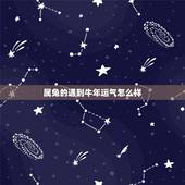 属兔的遇到牛年运气怎么样，牛年对属兔的好不好