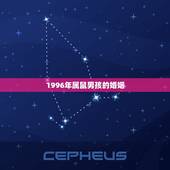 1996年属鼠男孩的婚姻，96属鼠男更佳配偶