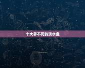 十大养不死的淡水鱼 哪些淡水鱼最难养