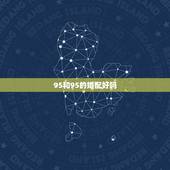 95和95的婚配好吗，95年属猪的婚配和什么属相最好