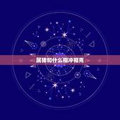 属猪和什么相冲相克，属猪和属猴同事好不好