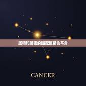属狗和属猪的婚配属相合不合，属狗，跟属猪合得来不