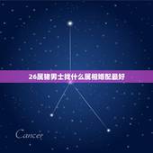 26属猪男士找什么属相婚配最好，属猪的属相婚配表，属猪的和什么属相最配