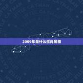 2009年是什么生肖属相，2009年，生肖属什么？