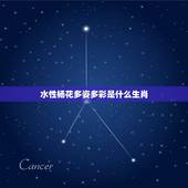 水性杨花多姿多彩是什么生肖，水性杨花的动物打一生肖